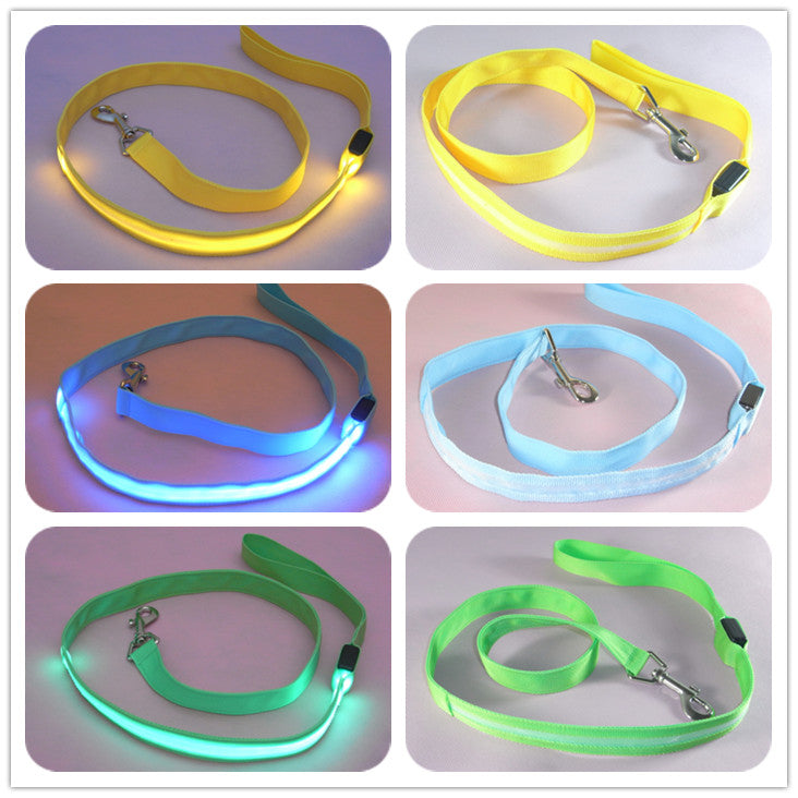 LED Dog Leash