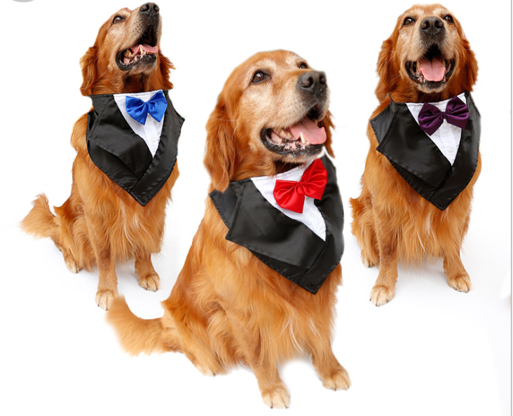 Wedding Tuxedo Dog Scarf