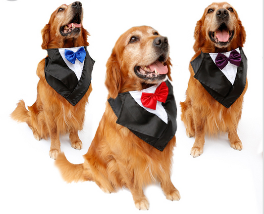 Wedding Tuxedo Dog Scarf