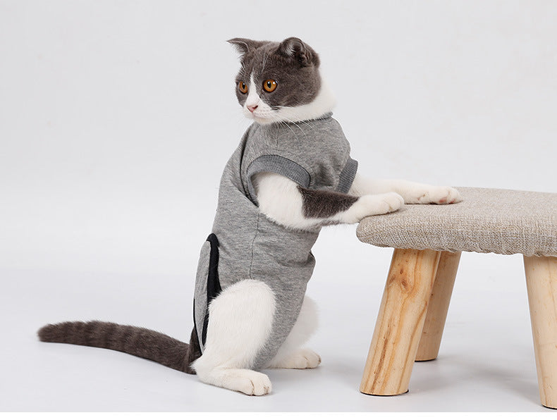 Cat Recovery After Surgery Clothing