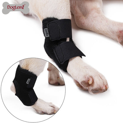 Dog Injured Recovery Strap