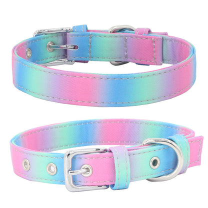 Dog Colorful Collar