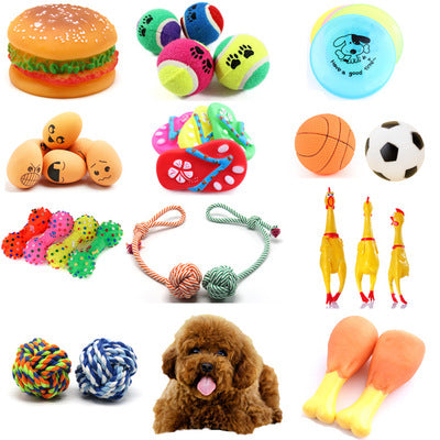 Pet Toy Ball