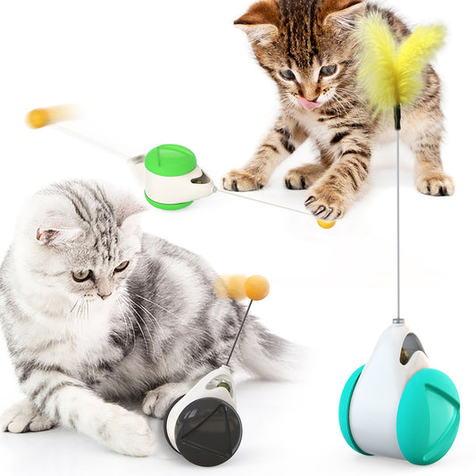 Balance Swing Cat Toy