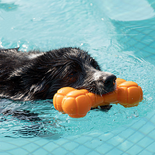 Dog Floating Water Toy