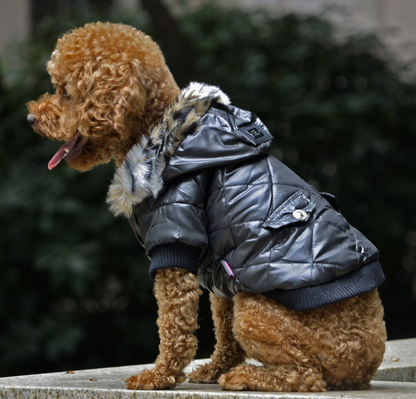 Cross-border Autumn Winter Dog Coat