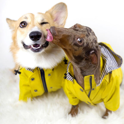 Dog Classic Raincoat