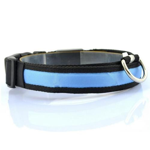 Vibrant LED Dog Collar