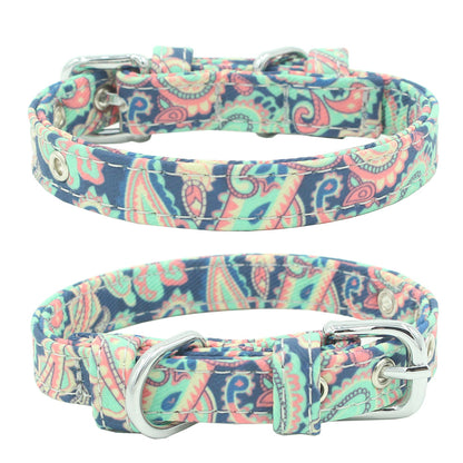 Dog Colorful Collar