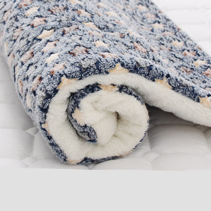 Pet Thickened Blanket