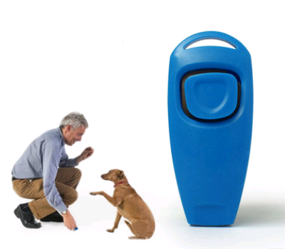 Two-in-one Dog Training Whistle