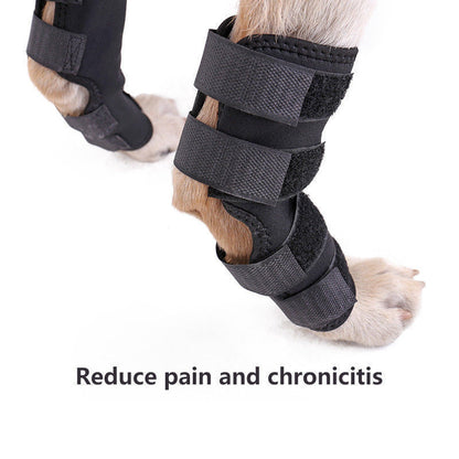 Pet Recovery Knee Protector