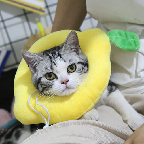 Cat Anti-Licking Ring