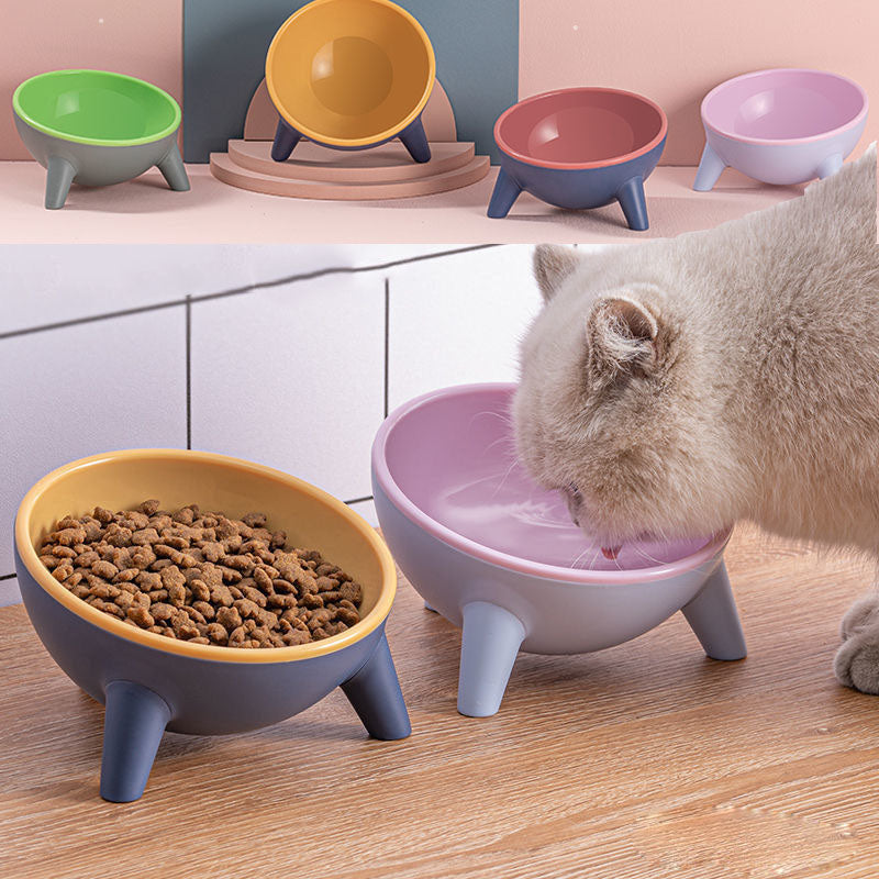 Cat Bowl With Stand