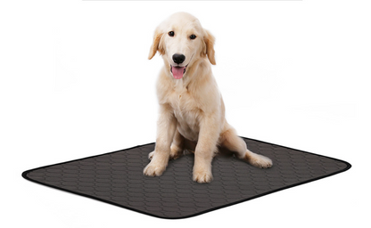 Dog Absorbent Urine Pad