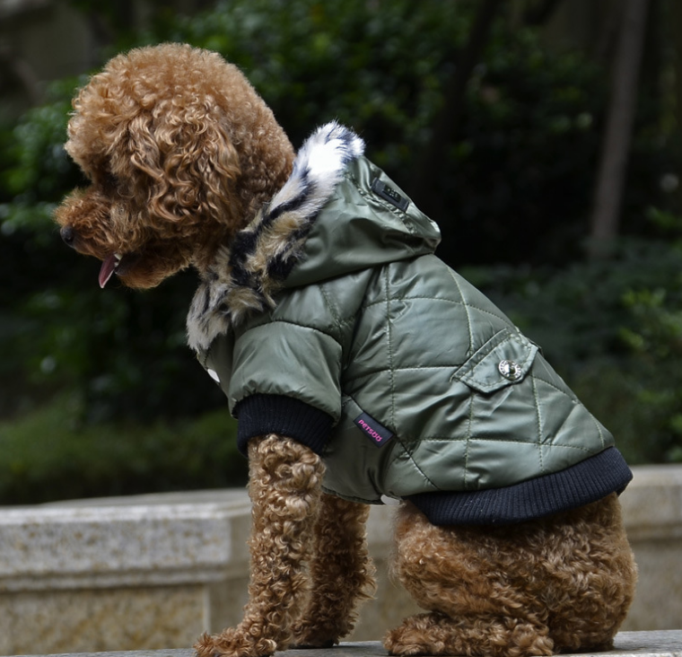 Cross-border Autumn Winter Dog Coat
