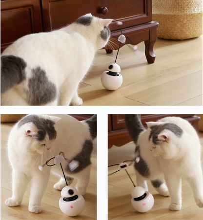 Three In One Cat Toy
