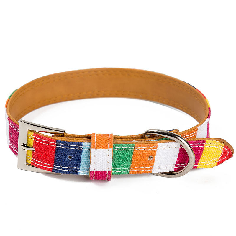 Dog Designer Collar