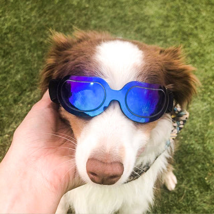 Dog Colorful Sunglasses