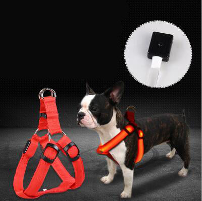 LED Luminous Dog Leash