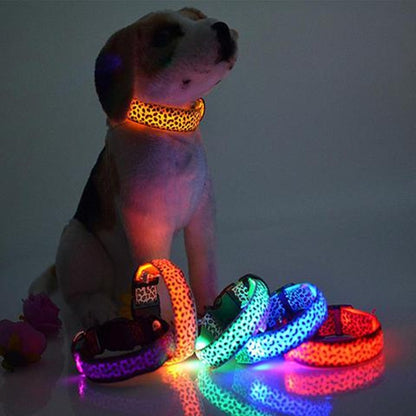 LED Dog Safety Collar