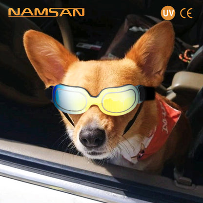 Dog Colorful Sunglasses
