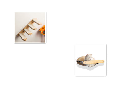 Cat Wall Climbing Frame