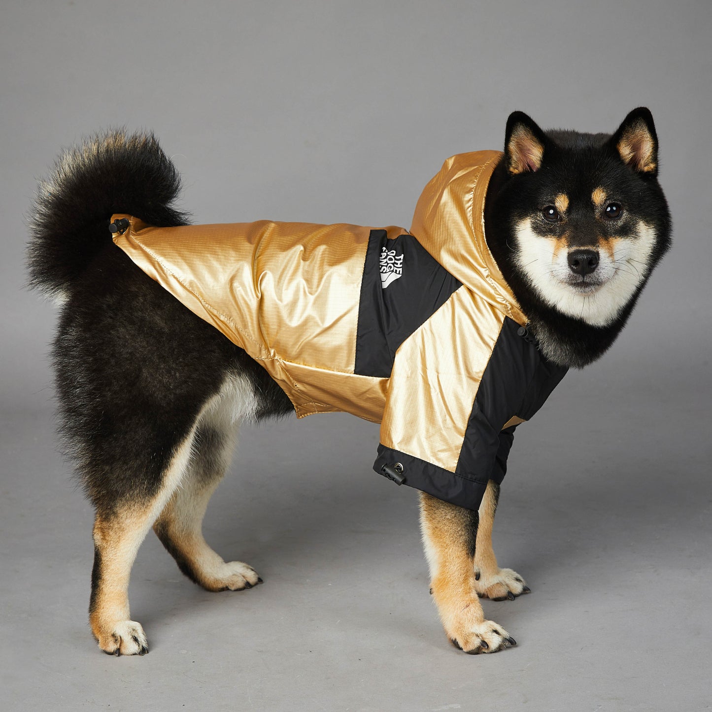 Dog Raincoat Jacket