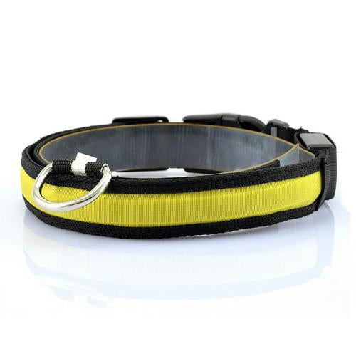 Vibrant LED Dog Collar