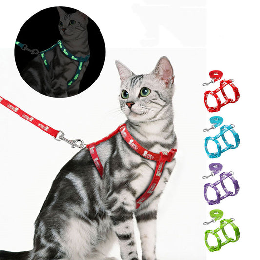 Night Light Cat Harness Strap