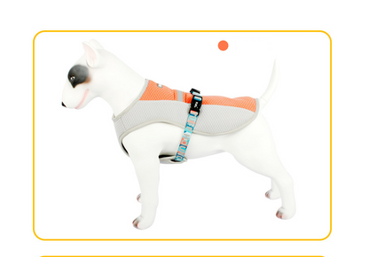 Summer Dog Cooling Vest