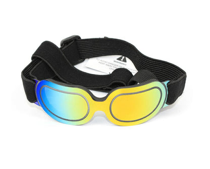 Dog Colorful Sunglasses