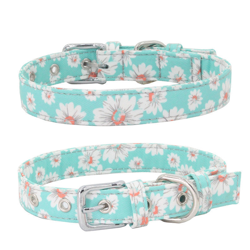 Dog Colorful Collar