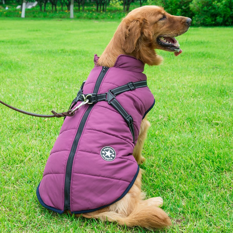 All Season Dog Coat