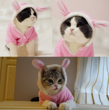 Cat Fleece Costume