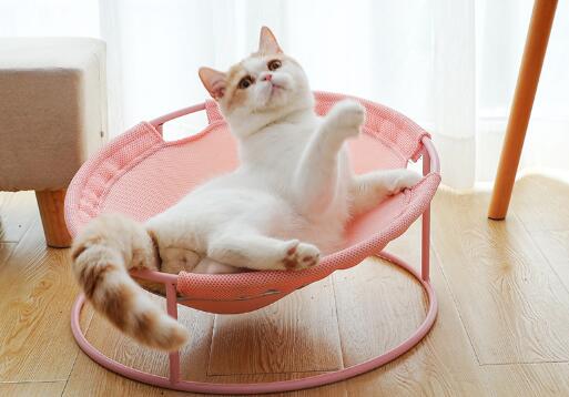 Cat Lounge Bed