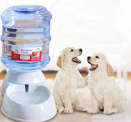 Dog Automatic Feeder And Drinking Water Fountain