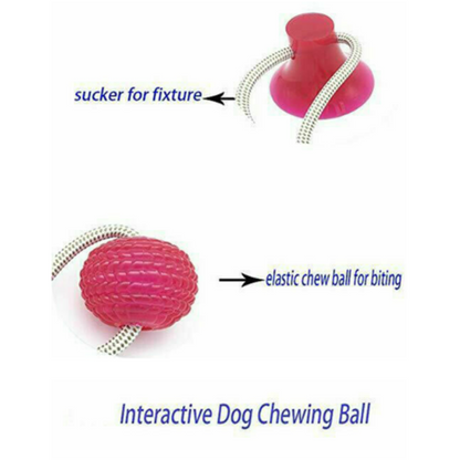 Dog Molar Bite Toy