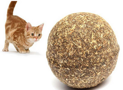 Cat Catnip Toy Ball