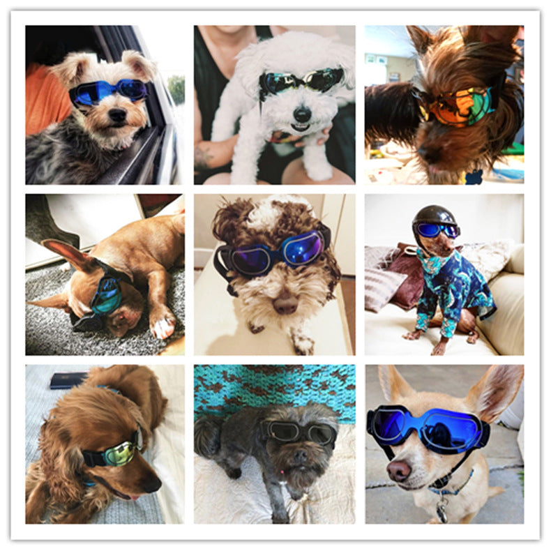 Dog Colorful Sunglasses