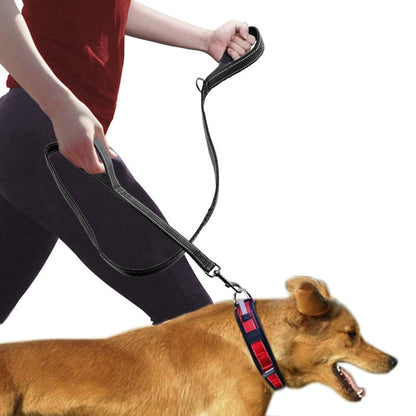 Dog Double Handle Leash