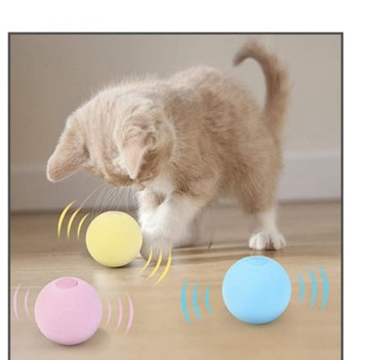 Pet Gravity Voice Ball